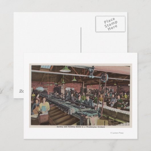 Sorteer- en verpakkingsfabriek en werknemers (inte briefkaart (Voorkant / Achterkant)