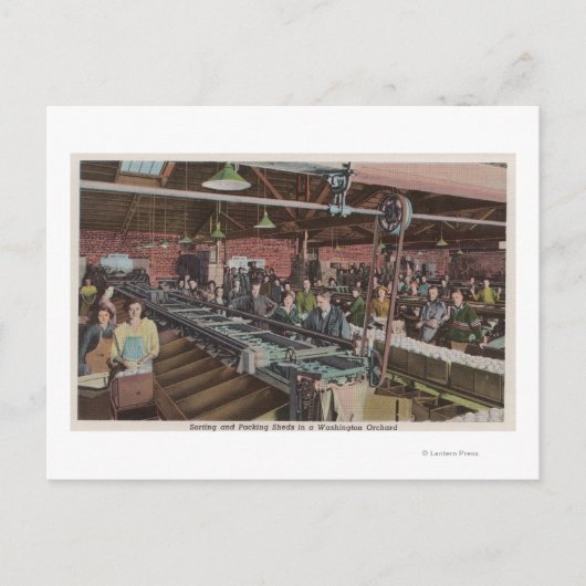 Sorteer- en verpakkingsfabriek en werknemers (inte briefkaart (Voorkant)