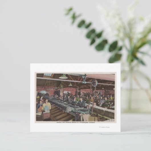 Sorteer- en verpakkingsfabriek en werknemers (inte briefkaart (Staand voorkant)