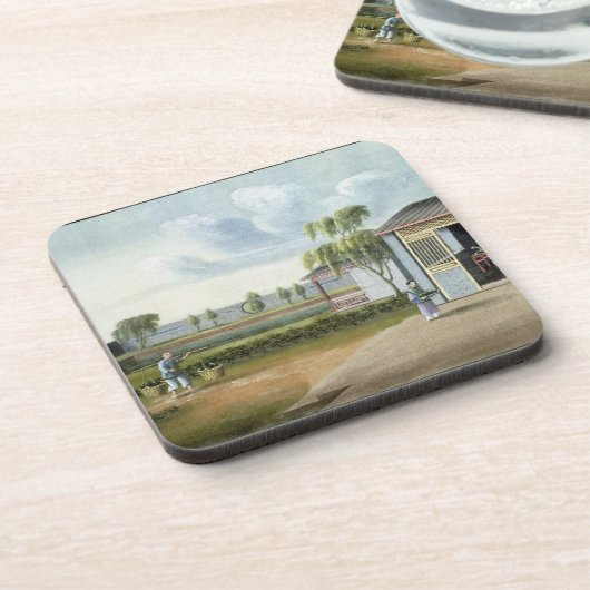 Sorteerthee (m/v op papier) drankjes onderzetter (Linkerzijde)