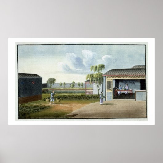 Sorteerthee (m/v op papier) poster (Voorkant)