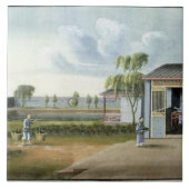 Sorteerthee (m/v op papier) tegeltje (Voorkant)