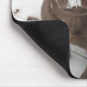 Sosa Lakota Muismat (Hoek)