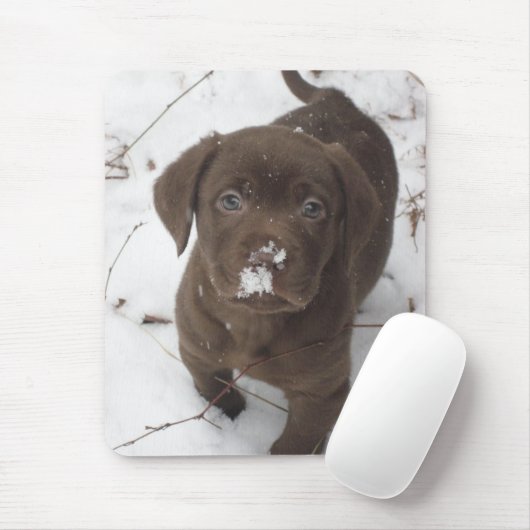 Sosa Lakota Muismat (Met muis)