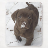 Sosa Lakota Muismat (Voorkant)