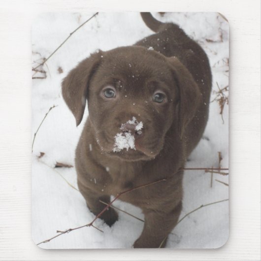 Sosa Lakota Muismat (Voorkant)