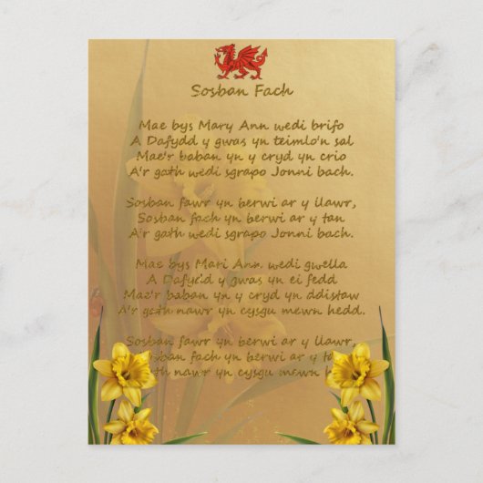 Sosban Fach Welsh Song Briefkaart (Voorkant)