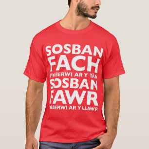 Sosban Fach Yn Berwi Ar Y Tan T-Shirt