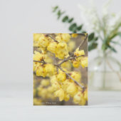 Soshin-robai: Winter Sweet [Briefkaart] Briefkaart (Staand voorkant)