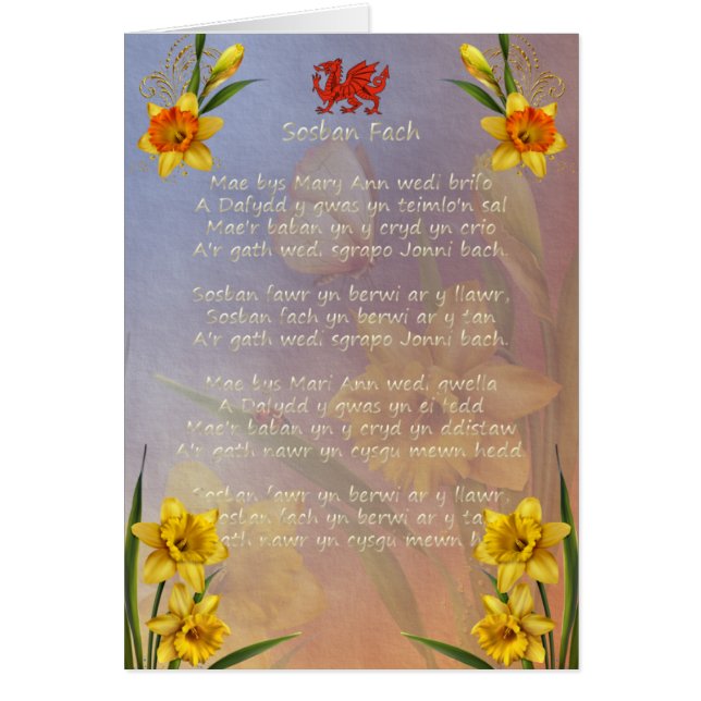 Sospan Vach Daffodil Gedecorreerd (Voorkant)