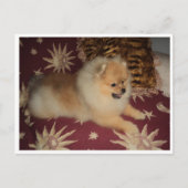 Sosseu Briefkaart (Voorkant)