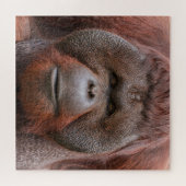 Soul Beneath the Flanges – Orangutan Face Legpuzzel (Horizontaal)