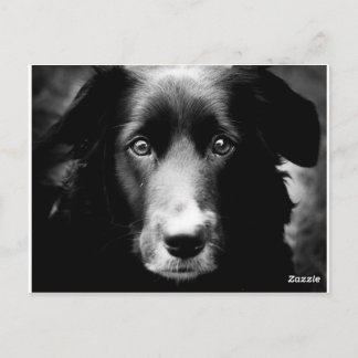 Soul Eyes Briefkaart