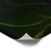 Soul Fragments Poster (Hoek)