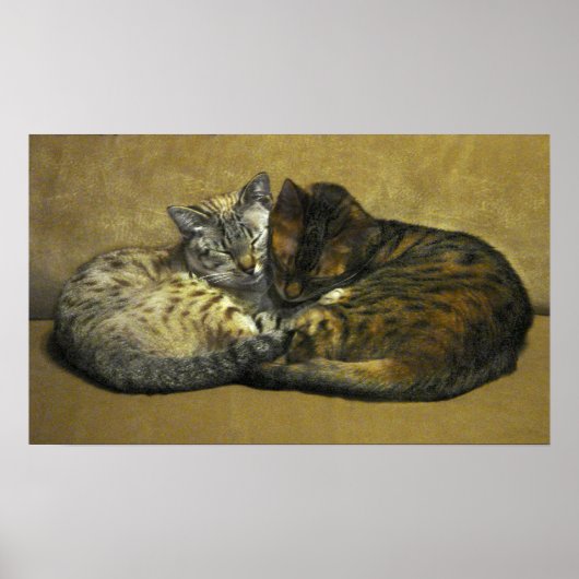 Soul Mates Poster (Voorkant)