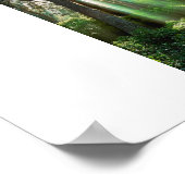 Soul Shine Poster (Hoek)