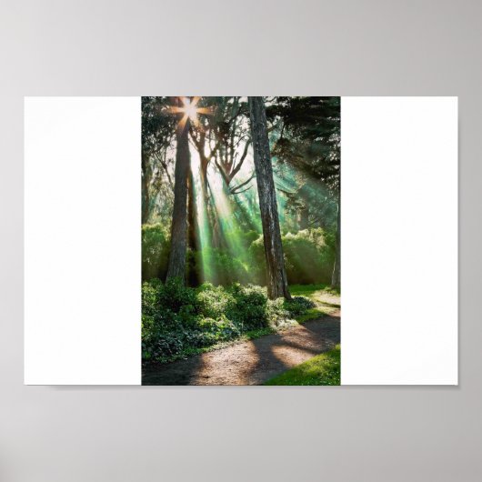 Soul Shine Poster (Voorkant)