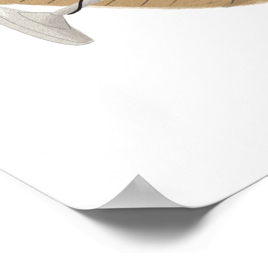 Soul Star Poster (Hoek)