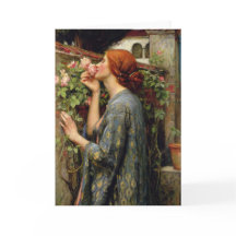 Soul van het Roos van John William Waterhouse
