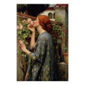 Soul van het Roos van John William Waterhouse Perfect Poster (Voorkant)