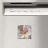 soulage magneet (Insitu (Vaatwasser))