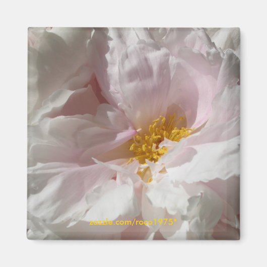 soulage magneet (Voorkant)