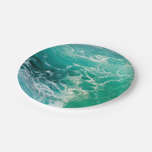 Soulde van het Zee 2 Papieren Bordje (Gekanteld)