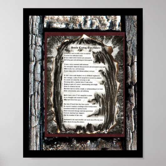 Soulds die overal naartoe gaan poster (Voorkant)