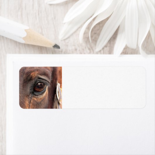 Soulful Eye Etiket (Insitu)