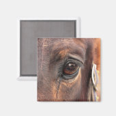 Soulful Eye Magneet (Voorkant / Achterkant)