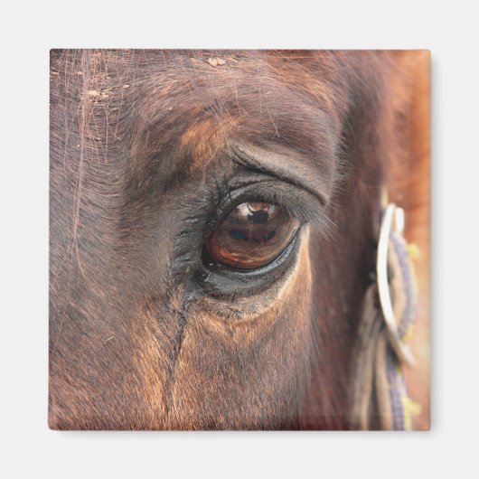 Soulful Eye Magneet (Voorkant)