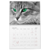 Soulful Eyes of the Cat Kalender (Jan 2027)