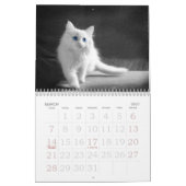 Soulful Eyes of the Cat Kalender (Mar 2027)