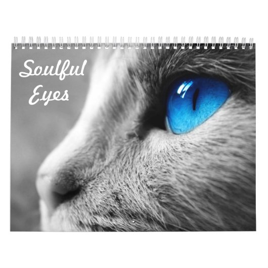 Soulful Eyes of the Cat Kalender (Hoes)