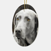 Soulful Eyes of the Weimaraner Keramisch Ornament (Links)