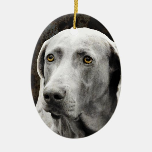 Soulful Eyes of the Weimaraner Keramisch Ornament (Voorkant)