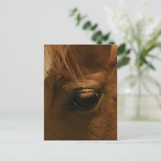 Soulful Horse Eye Briefkaart (Staand voorkant)
