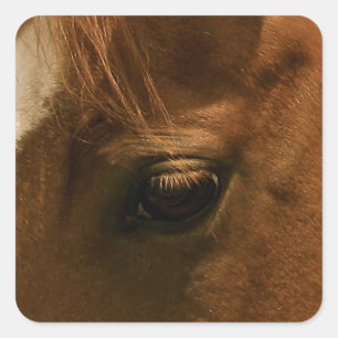 Soulful Horse Eye Vierkante Sticker