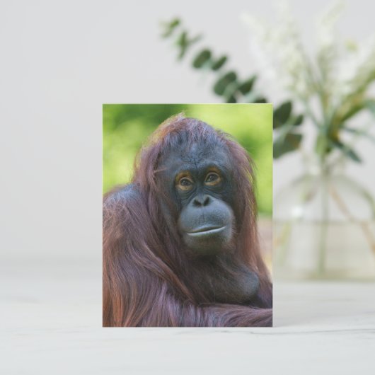 Soulful orang-oetan portret briefkaart (Staand voorkant)