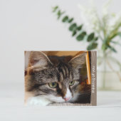 Soulful Siberische Denken van U Briefkaart (Staand voorkant)