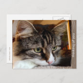 Soulful Siberische Denken van U Briefkaart (Voorkant / Achterkant)