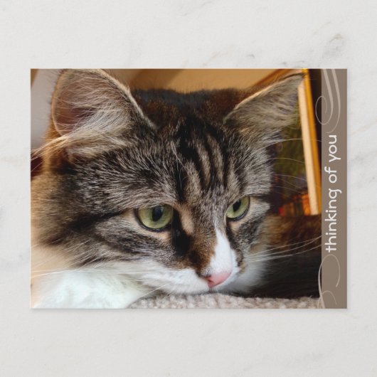 Soulful Siberische Denken van U Briefkaart (Voorkant)