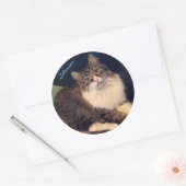 Soulful Siberische kat Stickers (Envelop)