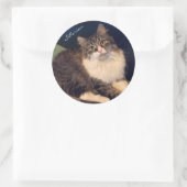 Soulful Siberische kat Stickers (Tas)