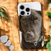 Soulful Snow Sprinked Chocolate Labrador Hoesje-Ma Case-Mate iPhone Case