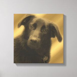 Soulful Wise Dog Eyes Animal Canvas Afdruk