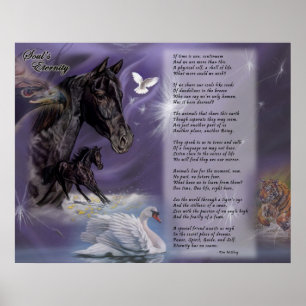 Soul's eeuwigheid poster