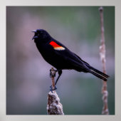 Sound Off Poster (Voorkant)