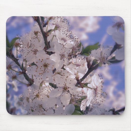 Sour Cherry Tree Blue Sky Muismat (Voorkant)