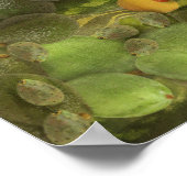 Sour Grapes Fine Art Spoof Poster (Hoek)